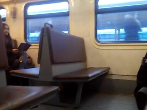 flashing dick in train