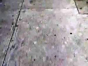 Ricos globos de carne 2